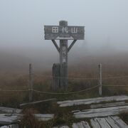 池塘が沢山、広い湿原もガスガス