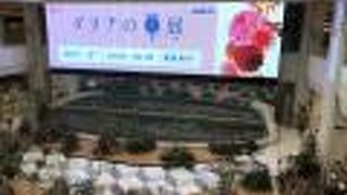 ダリアの華展を見ました