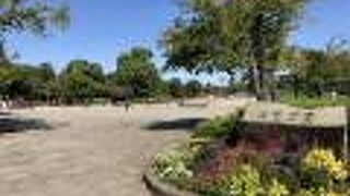 孫とこども運動公園で遊びました