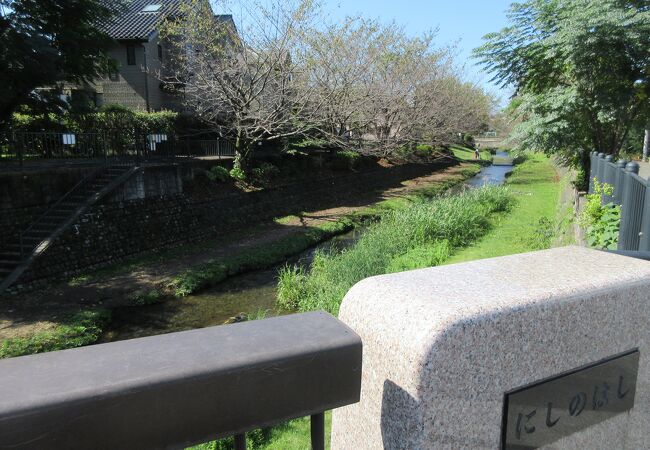 野川に架かる普通の短い橋です