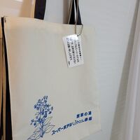 大浴場に行くバッグもありました