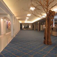 ロビーも広々しています。