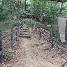 急登りのプラ段が続く