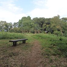 獅子ヶ谷城本丸跡