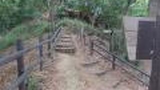 獅子ヶ谷市民の森(獅子ヶ谷城址）に行きました