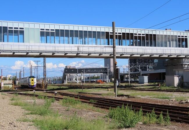 苗穂駅は南口と北口が遠い、遠い！