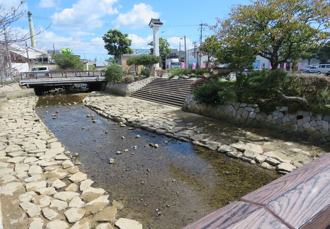 河岸は観光名所に続くルートで鴨もいる綺麗な川です