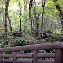 此処から歩きます