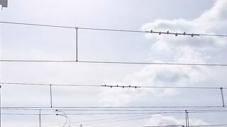 見応えたっぷり