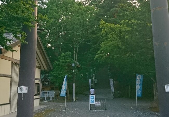 千歳神社 クチコミ アクセス 営業時間 千歳 新千歳空港 フォートラベル
