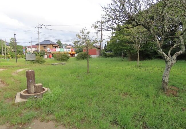 伊能忠敬像のまわりと諏訪神社のまわり