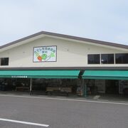 八ヶ岳の高原野菜を販売