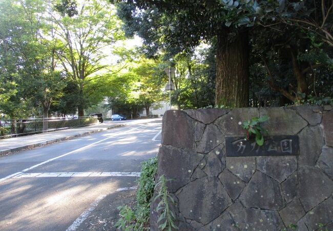 四季折々の植物を楽しめます。