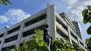 見応えあります