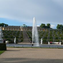 サンスーシ宮殿(無憂宮)の庭園・噴水と葡萄畑