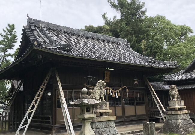 大きな樹木のある神社