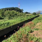 ３キロに渡り、彼岸花が咲く