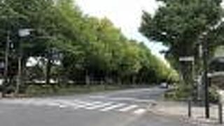 建設業者のトラック？