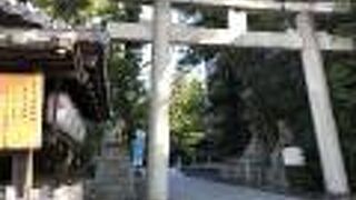 うさぎを祀る神社