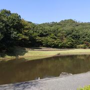 気持ちのよい公園