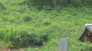 JR中央本線が城址を分断しています。