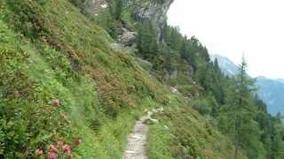 雄大な氷河とモン・ブラン山群を見渡せる絶景スポットです。