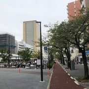 川崎駅前のさくら並木