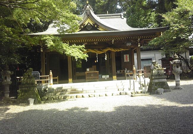 阿蘇神社のシイ クチコミ アクセス 営業時間 福生 武蔵村山 フォートラベル 阿蘇神社のシイ クチコミ アクセス 営業時間 福生 武蔵村山 フォートラベル