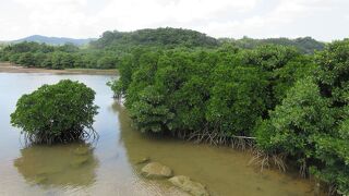東南アジアを彷彿
