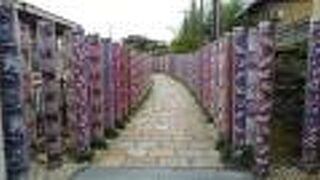 映える映えると騒ぐのは