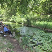 釣り人もいます
