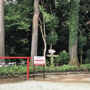 男坂の階段は１段１段が高いです