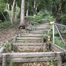 １段が高く土もえぐれています