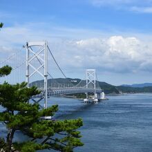 お茶園展望台からの景色