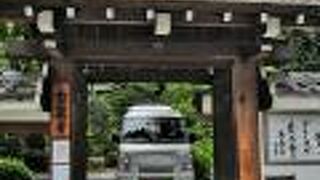 伊藤若冲ゆかり