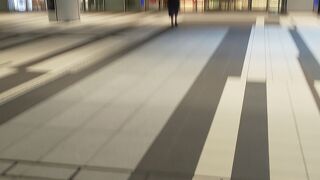 おいしい食料品のお店が多数