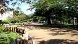 緊急事態宣言が解除された日曜日、愉しそうな子供たちの声が公園内に響いていました！