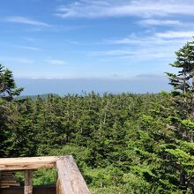 山頂からの風景