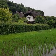 江戸時代からの建物と田んぼの風景
