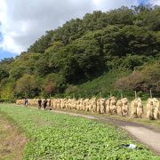 気軽に立ち寄れる縄文遺跡