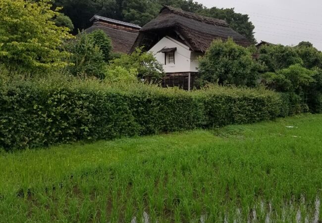 江戸時代からの建物と田んぼの風景