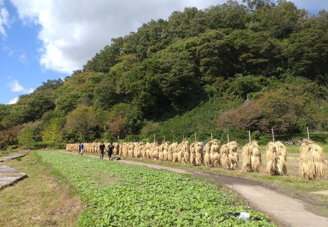 気軽に立ち寄れる縄文遺跡