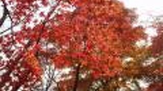 回遊式日本庭園