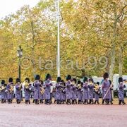 ホースガーズパレードから出発した騎馬衛兵やバッキンガム宮殿から来た軍楽隊がここを行進してました。