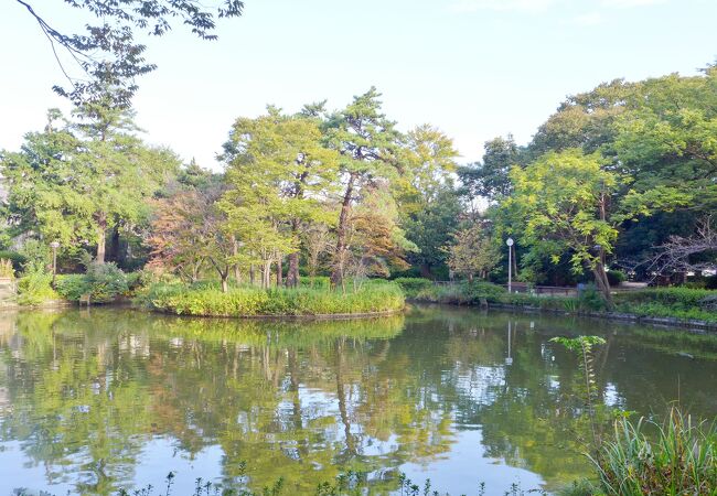 綺麗な池がある公園