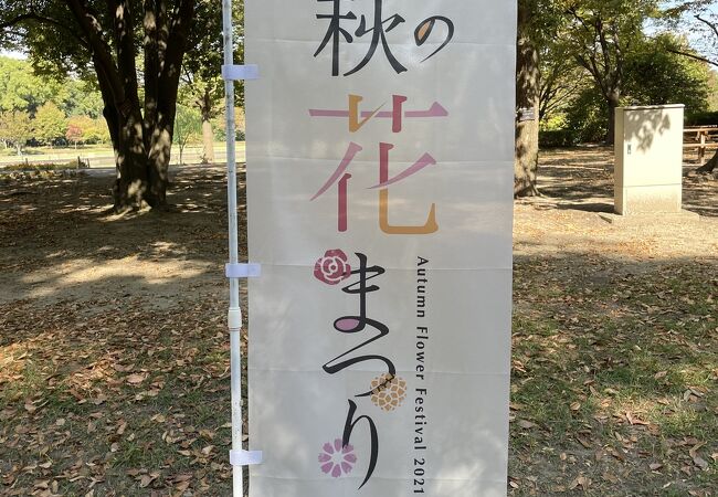 長居植物園 クチコミ アクセス 営業時間 住吉 平野 フォートラベル