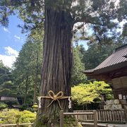 空気の違いを感じます