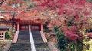 見惚れるほどの紅葉でした。