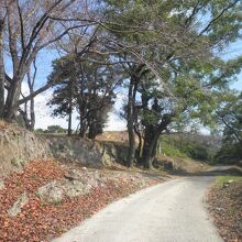 西側から本丸近くへ延びる道路（周辺は三の丸）