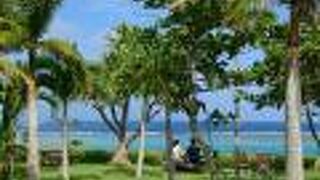 晴れている日は迷わず来たほうがいい！